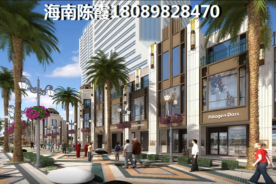 海口乐东二手房