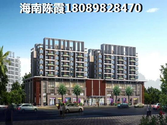 乐东县九所滨海新区房价多少