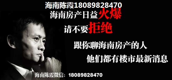 雅居乐在海南乐东县的房地产早买真的会生纸吗？乐东县房价上涨空间有多大？