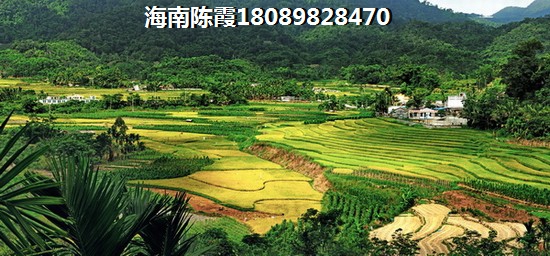 海南2025哪个楼盘的房价贵