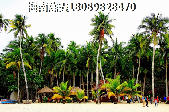 海南乐东县哪里居住潮湿？