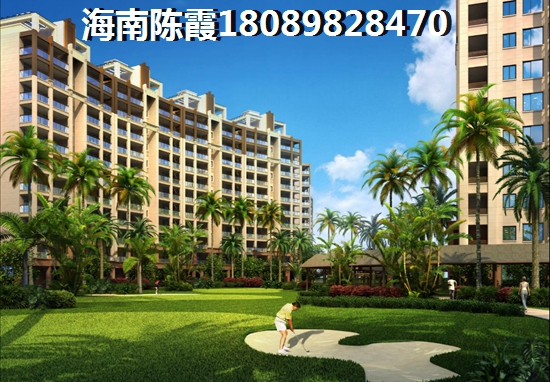 海南龙栖湾房产投资市场表现与价值分析报告