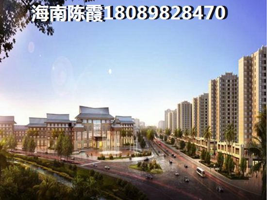 海南乐东县将来什么有前景？